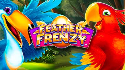 Feather Frenzy